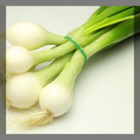 Oignons blancs (non-hybride)