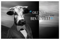 Pavé de filet mignon de veau