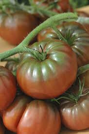 Tomate noire de crimée