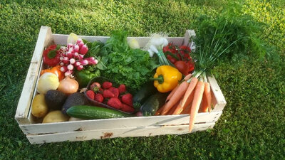 Panier composé