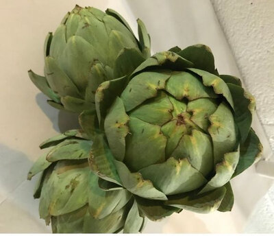 Artichauts bouquet