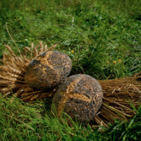 Pain aux graines 500g