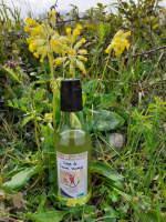 Sirop de coucou sauvage