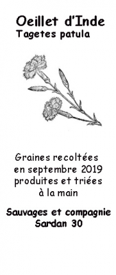 Graines d'œillet d'inde