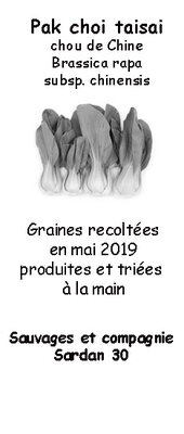 Graines de pak choi taisai ou chou chinois