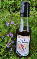 Sirop de lierre terrestre