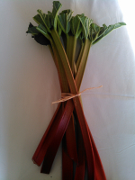 Rhubarbe 100% naturelle