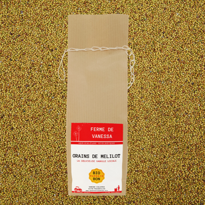 Melilot la vanille locale - grain