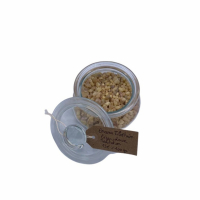 Encens résine tibétain, tibet