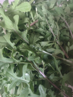 Roquette bio