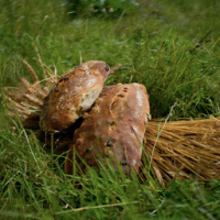 Pain raisins noisettes 600 g