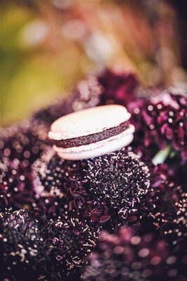 Macaron cassis du val de loire x6
