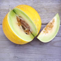 Plant melon - d’hiver boule d’or