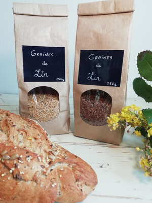 Graines de lin