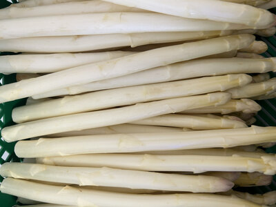 Asperges fines
