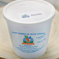 Yaourt brassé format familial, à la myrtille