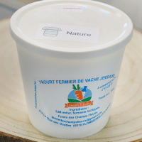 Yaourt brassé format familial, nature