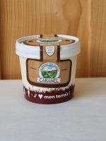 Crème glacée vanille 500 ml