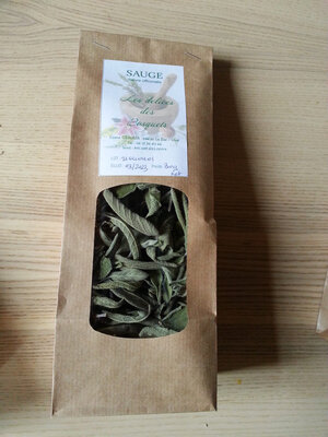 Sauge officinale (salvia officinalis )