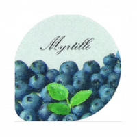 Yaourt brebis / lit de myrtille