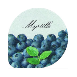 Yaourt brebis / lit de myrtille