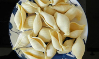 Pâtes fraîches gros conchiglie à farcir