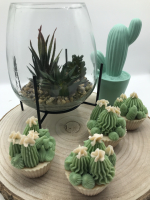 Cactus fleur du désert édition limitée