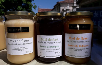 Miel de fleurs de printemps