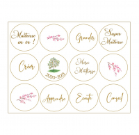 Pack ecole | merci maîtresse ou maître x5