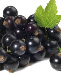Confiture de cassis