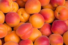 Confiture d'abricot