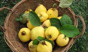 Confiture de coing