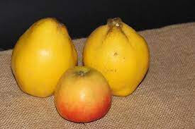 Confiture de pomme/coing