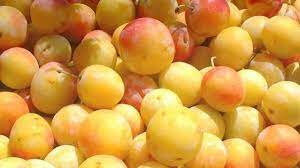Confiture de mirabelle