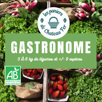 Paniers légumes bio 'gastronome' 6 kgs
