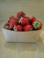 Fraises bio