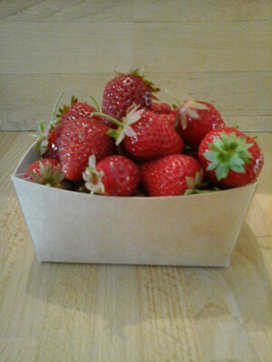 Fraises bio