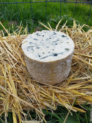 1/2 fourme
