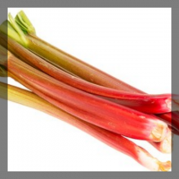 Rhubarbe