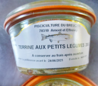 Terrine de truite aux petits légumes