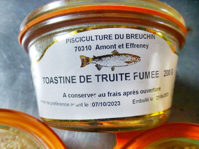 Toastine de truite
