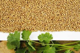 Graines de coriandre vrac 20g