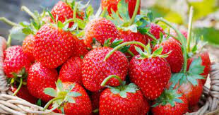 Sirop de fraise