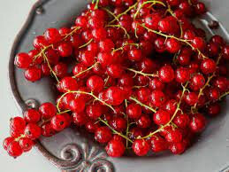 Sirop de groseille