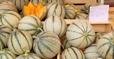 Melon
