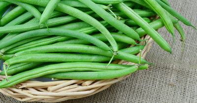 Haricots verts