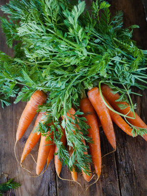 Carottes fanes