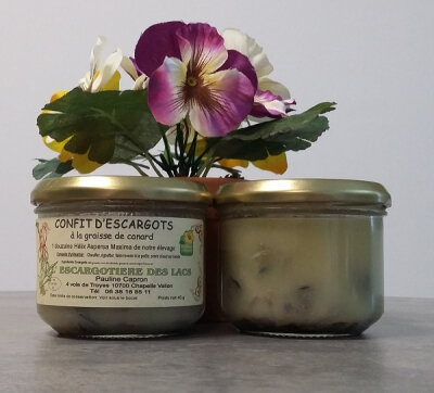 Confit escargots