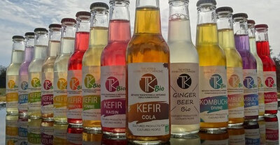 Pack découverte kéfir de fruits