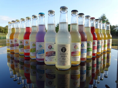 Pack découverte kombucha